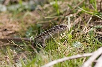 IMG 6114